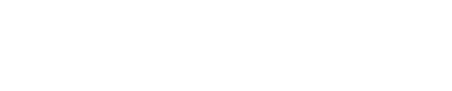 DataCurve logo