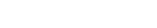 SullyAI logo